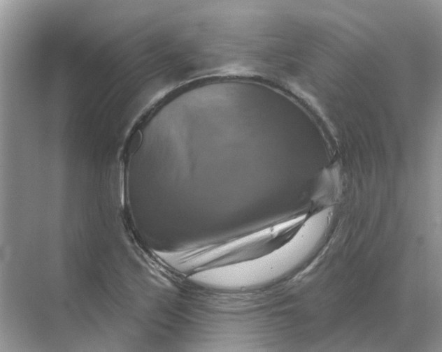 X0000070181171200606162114