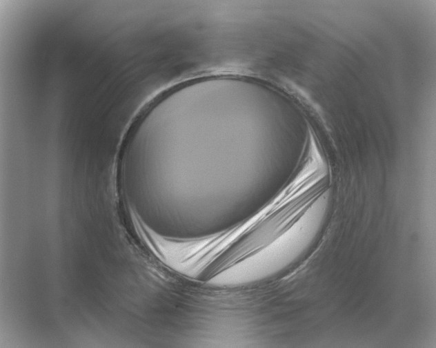 X0000070181174200606162114