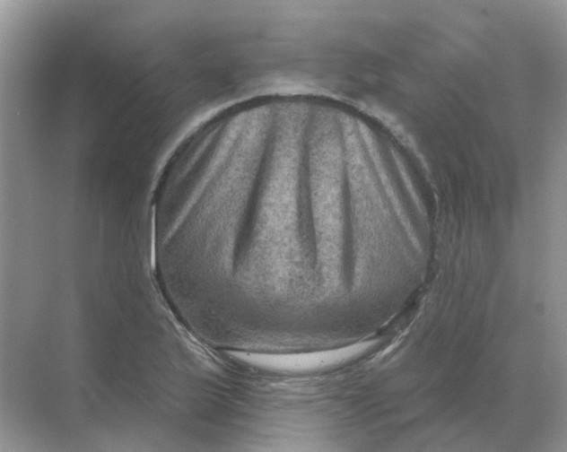 X0000070181175200606162114