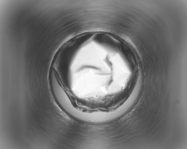 X0000070181181200606162114