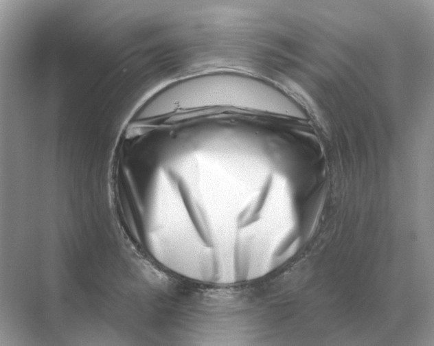 X0000070181182200606162114