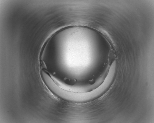X0000070181184200606162114