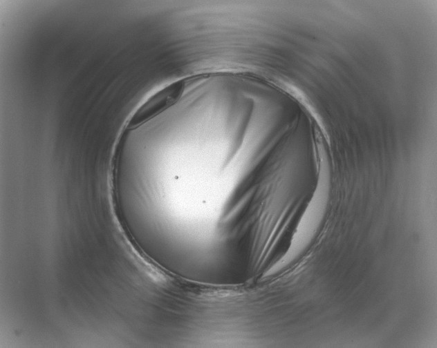 X0000070181187200606162114