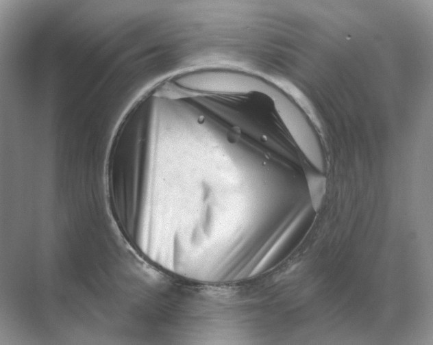 X0000070181191200606162114