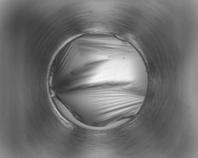 X0000070181195200606162114
