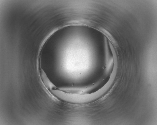 X0000070181196200606162114