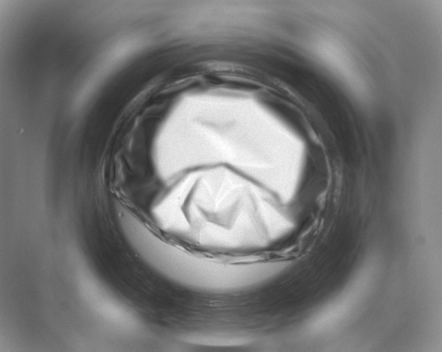 X0000070181198200606162114