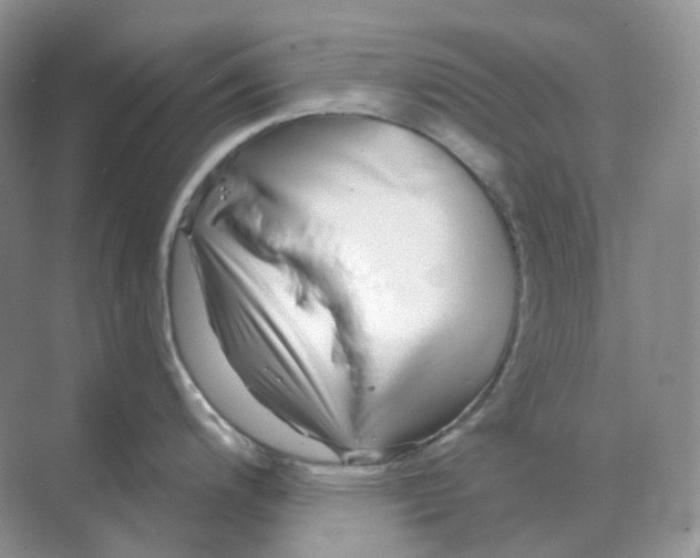 X0000070181200200606162114