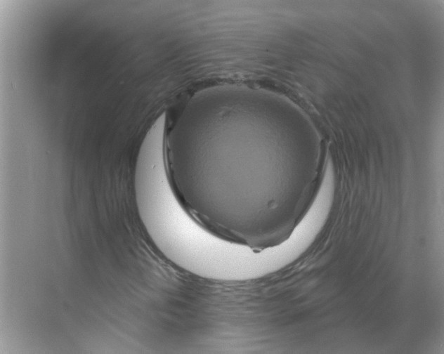 X0000070181202200606162113