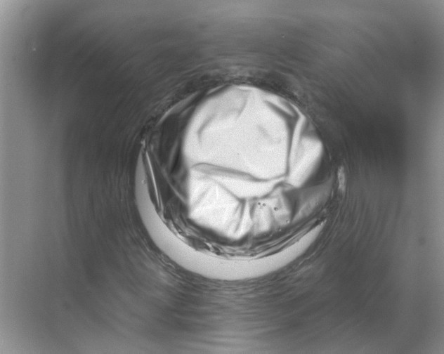 X0000070181203200606162113