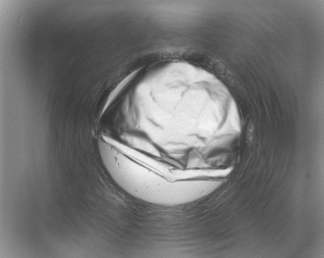 X0000070181204200606162113