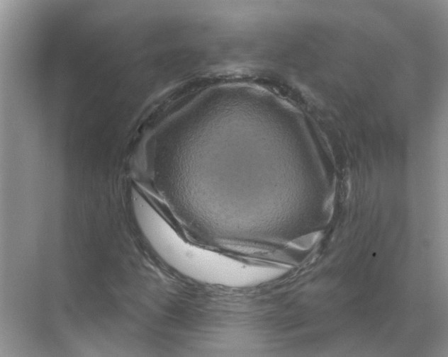 X0000070181206200606162113