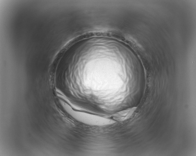 X0000070181208200606162113