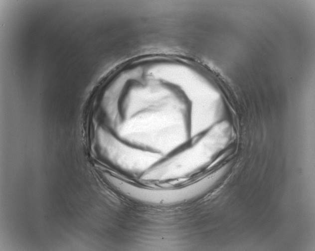 X0000070181215200606162113