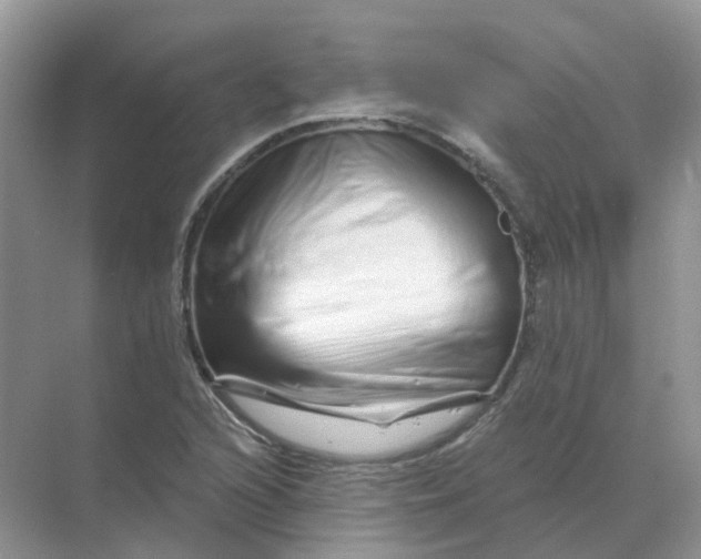 X0000070181216200606162113