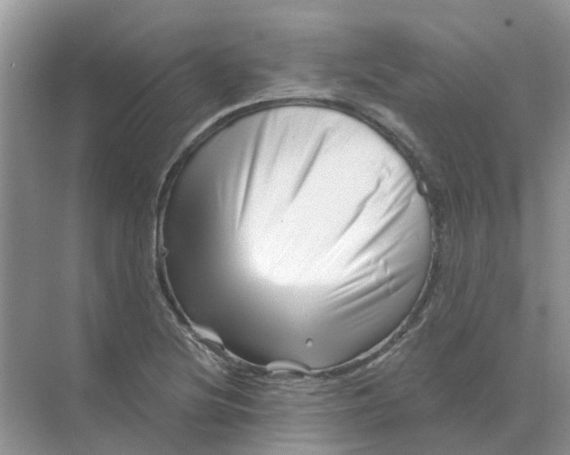 X0000070181220200606162113