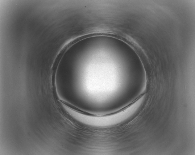 X0000070181222200606162113