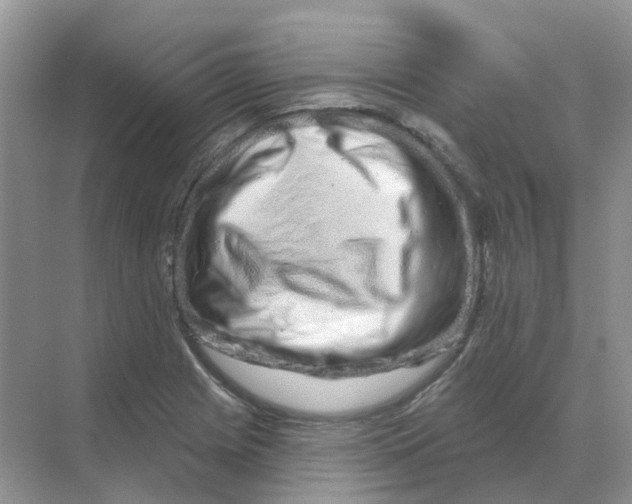 X0000070181225200606162113