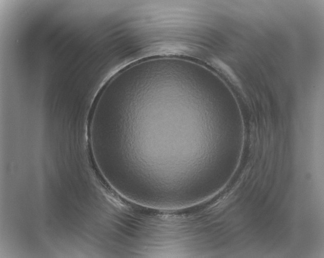 X0000070181226200606162113