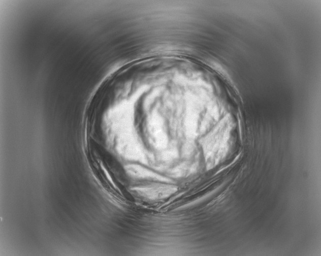 X0000070181227200606162113