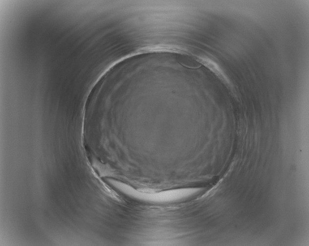 X0000070181228200606162113
