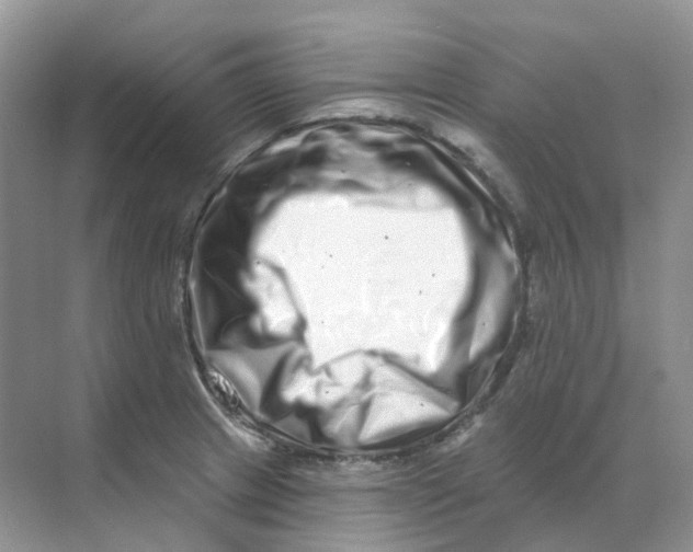 X0000070181233200606162113