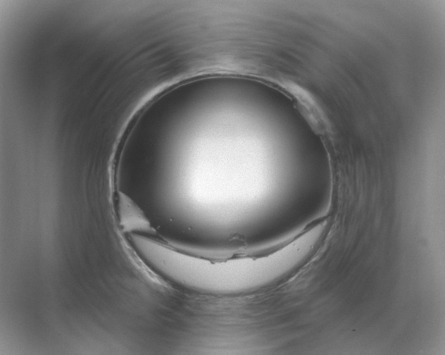 X0000070181238200606162113