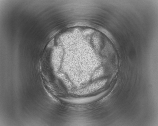 X0000070181241200606162114