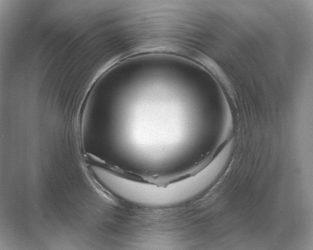 X0000070181242200606162114