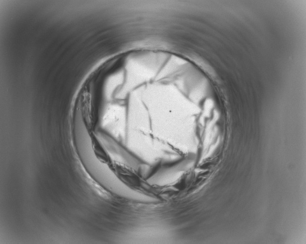 X0000070181248200606162114