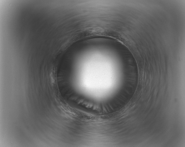 X0000070181250200606162113