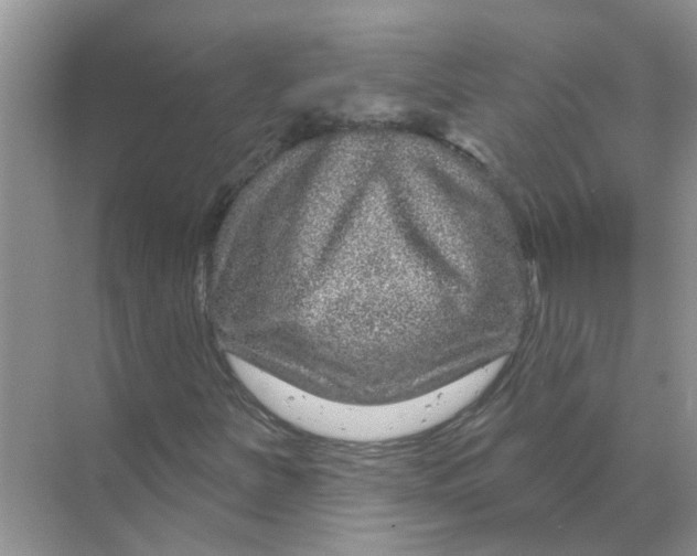 X0000070181251200606162113