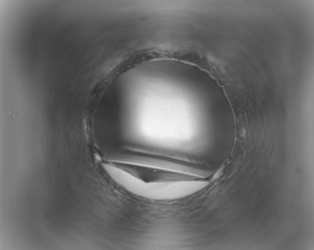X0000070181253200606162113