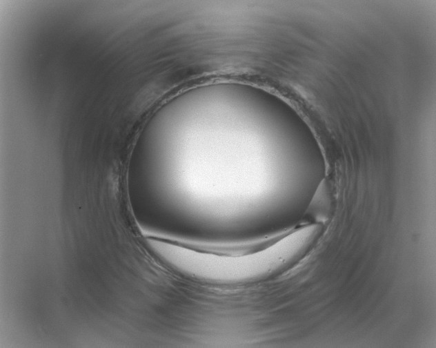 X0000070181257200606162113
