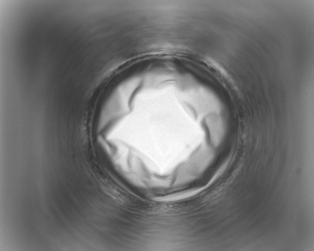 X0000070181259200606162113