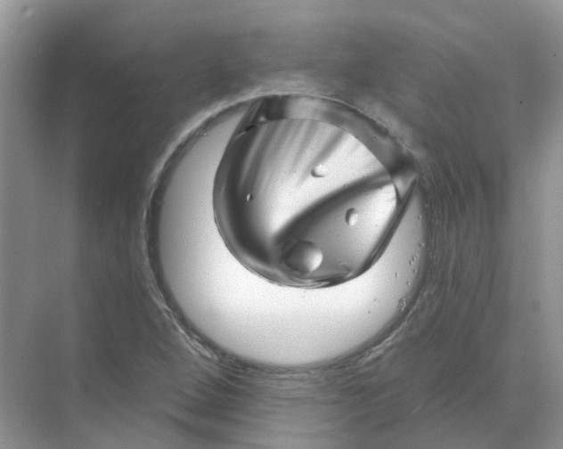 X0000070181264200606162113