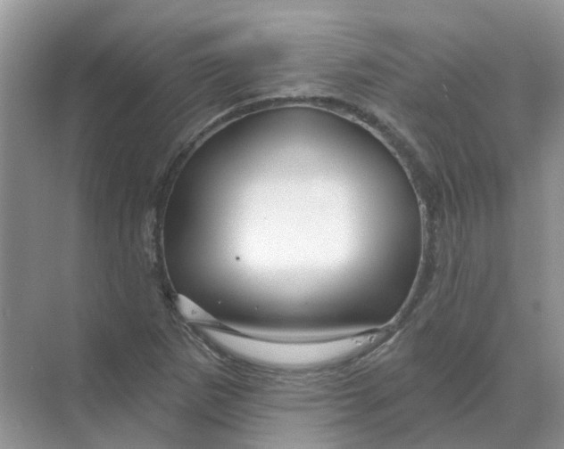X0000070181265200606162113