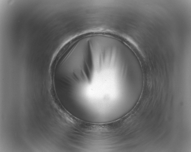 X0000070181270200606162112