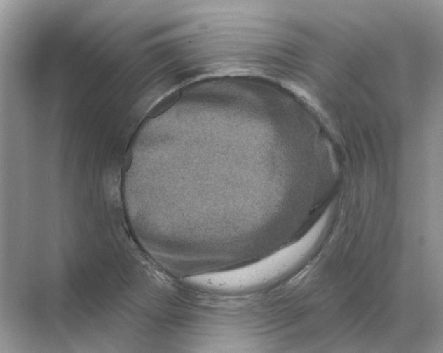 X0000070181273200606162112