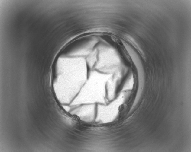 X0000070181276200606162112