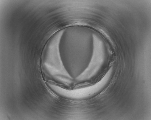 X0000070181281200606162112