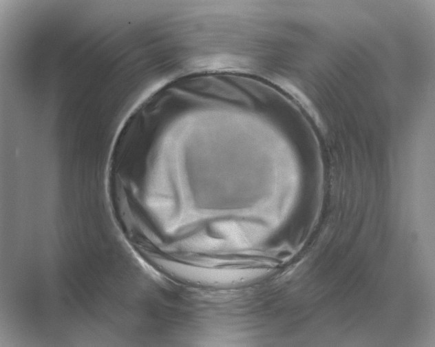 X0000070181285200606162112