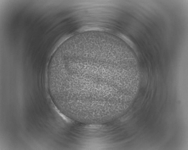 X0000070181290200606162112