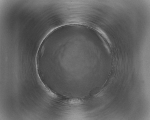 X0000070181291200606162112
