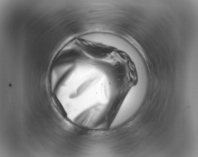X0000070181293200606162112