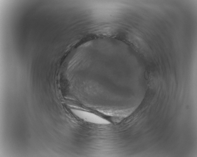 X0000070181297200606162111