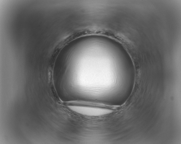 X0000070181302200606162111
