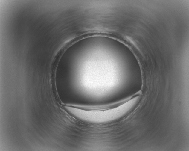X0000070181307200606162111