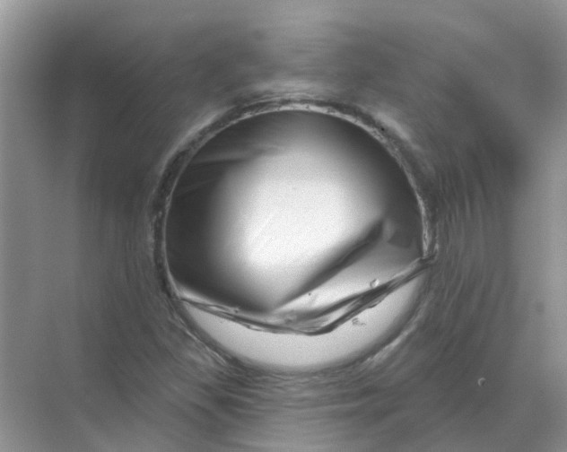 X0000070181309200606162111