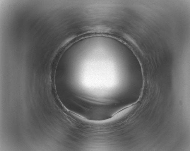 X0000070181315200606162112